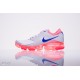 Tenisky NIKE Air Vapormax - AH9045 008