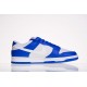 Obuv NIKE Dunk Low - DD3358 300