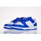 Obuv NIKE Dunk Low - DD3358 300